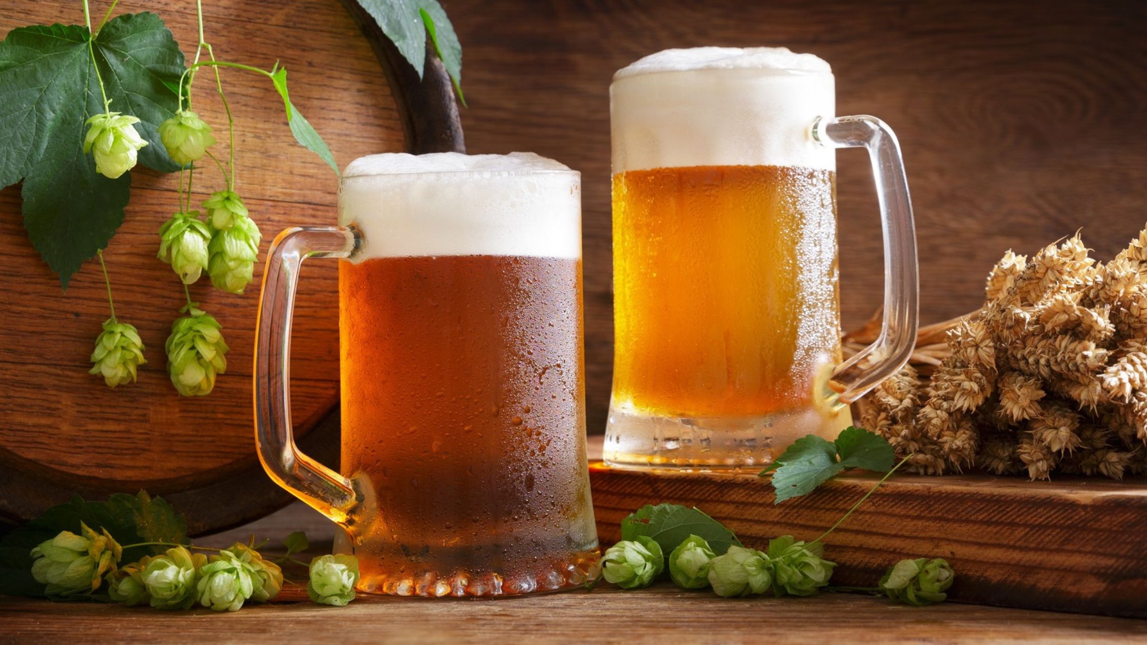 beer bugs and glass full beer